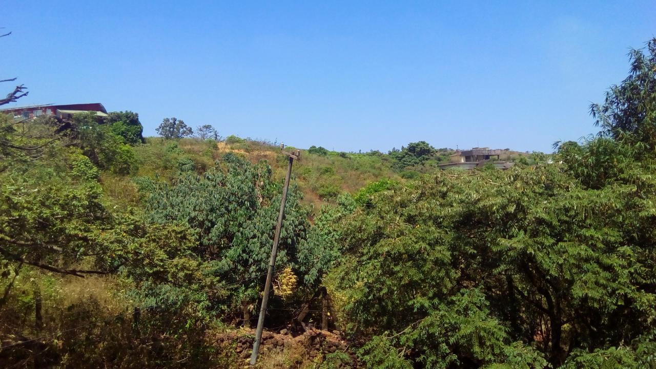 Hotel Tree Top Mahābaleshwar Exterior foto