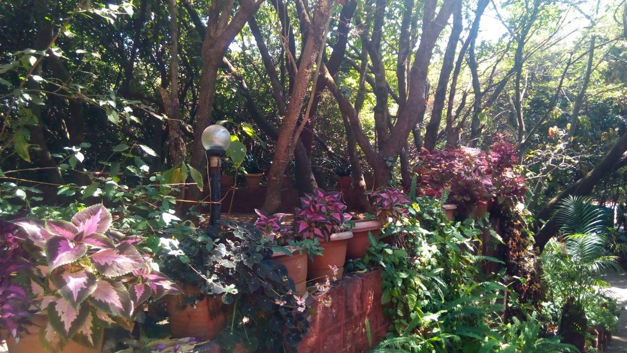 Hotel Tree Top Mahābaleshwar Exterior foto